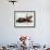 Devotees Immerse a Giant Clay Idol of Hindu Elephant-Headed God Ganesh into the Arabian Sea, Bombay-null-Framed Photographic Print displayed on a wall