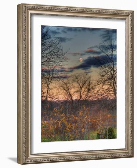 Devzone-Jim Crotty-Framed Photographic Print