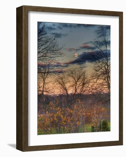 Devzone-Jim Crotty-Framed Photographic Print