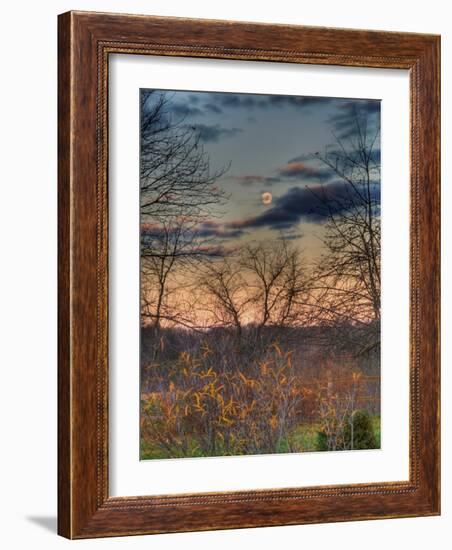 Devzone-Jim Crotty-Framed Photographic Print