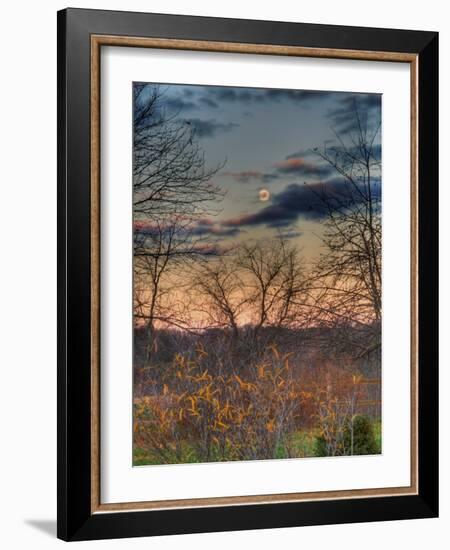 Devzone-Jim Crotty-Framed Photographic Print