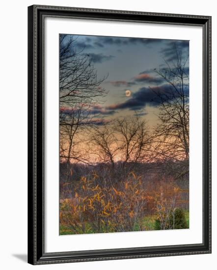 Devzone-Jim Crotty-Framed Photographic Print