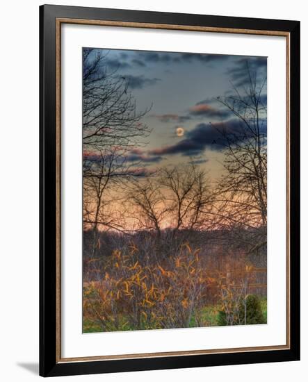 Devzone-Jim Crotty-Framed Photographic Print