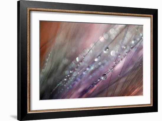 Dew 1-Ursula Abresch-Framed Photographic Print