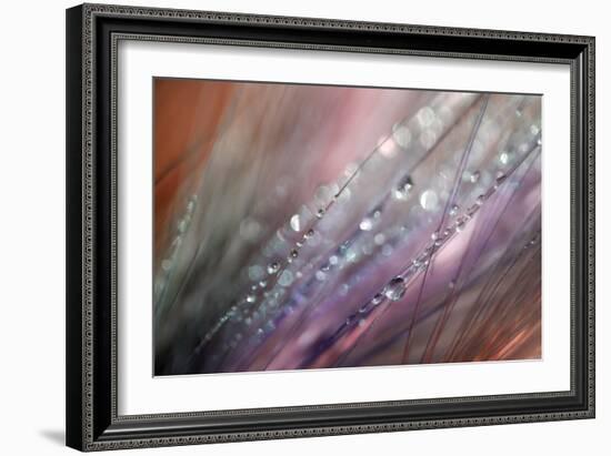 Dew 1-Ursula Abresch-Framed Photographic Print