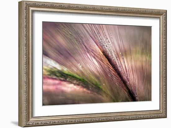 Dew 2-Ursula Abresch-Framed Photographic Print