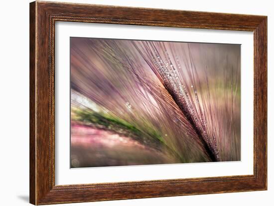 Dew 2-Ursula Abresch-Framed Photographic Print