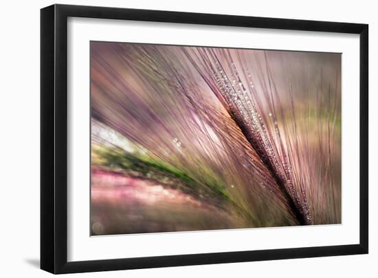 Dew 2-Ursula Abresch-Framed Photographic Print