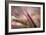 Dew 2-Ursula Abresch-Framed Photographic Print