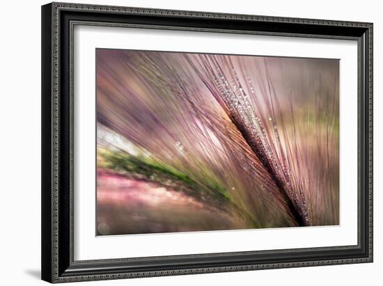 Dew 2-Ursula Abresch-Framed Photographic Print