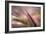 Dew 2-Ursula Abresch-Framed Photographic Print