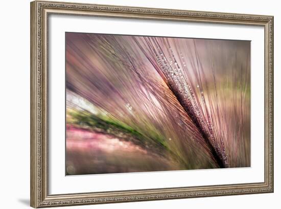 Dew 2-Ursula Abresch-Framed Photographic Print