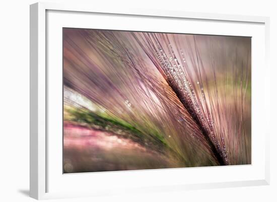 Dew 2-Ursula Abresch-Framed Photographic Print