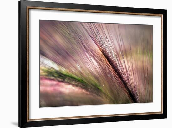 Dew 2-Ursula Abresch-Framed Photographic Print