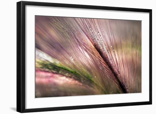 Dew 2-Ursula Abresch-Framed Photographic Print