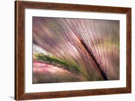 Dew 2-Ursula Abresch-Framed Photographic Print