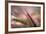 Dew 2-Ursula Abresch-Framed Photographic Print