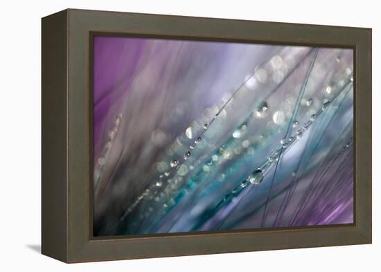 Dew 2-Ursula Abresch-Framed Premier Image Canvas