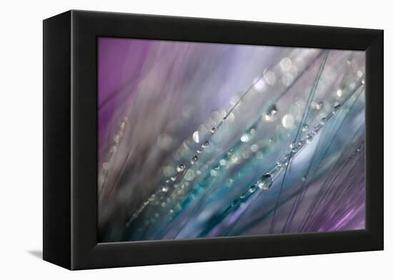 Dew 2-Ursula Abresch-Framed Premier Image Canvas