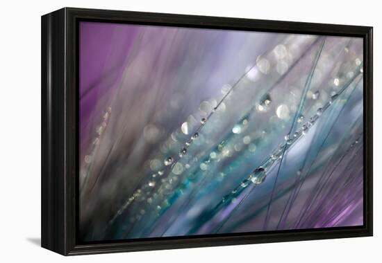 Dew 2-Ursula Abresch-Framed Premier Image Canvas