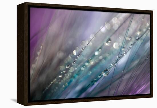 Dew 2-Ursula Abresch-Framed Premier Image Canvas