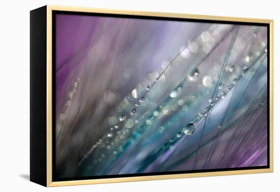 Dew 2-Ursula Abresch-Framed Premier Image Canvas