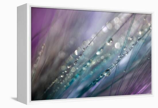 Dew 2-Ursula Abresch-Framed Premier Image Canvas