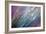 Dew 2-Ursula Abresch-Framed Photographic Print