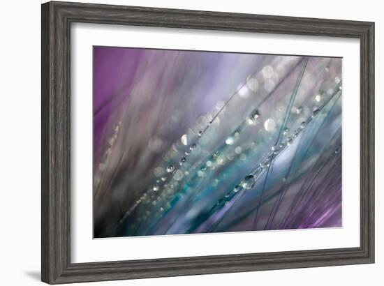 Dew 2-Ursula Abresch-Framed Photographic Print