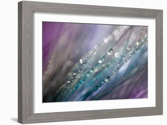 Dew 2-Ursula Abresch-Framed Photographic Print