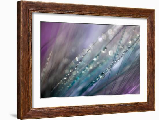 Dew 2-Ursula Abresch-Framed Photographic Print