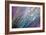 Dew 2-Ursula Abresch-Framed Photographic Print