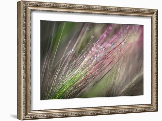 Dew 3-Ursula Abresch-Framed Photographic Print