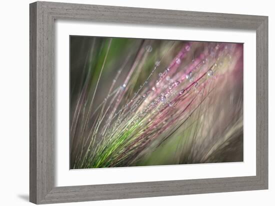 Dew 3-Ursula Abresch-Framed Photographic Print