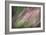 Dew 3-Ursula Abresch-Framed Photographic Print