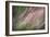 Dew 3-Ursula Abresch-Framed Photographic Print