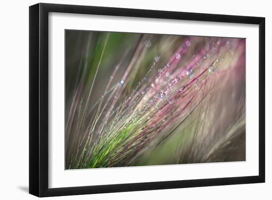 Dew 3-Ursula Abresch-Framed Photographic Print