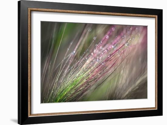 Dew 3-Ursula Abresch-Framed Photographic Print