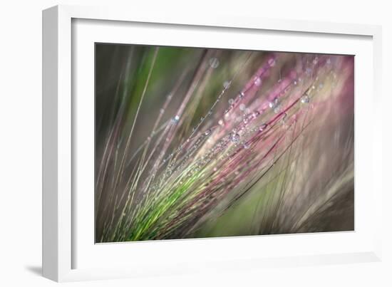 Dew 3-Ursula Abresch-Framed Photographic Print