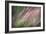 Dew 3-Ursula Abresch-Framed Photographic Print