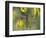 Dew-Covered Climber Dragonfly-Adam Jones-Framed Photographic Print