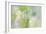 Dew Covered Oregano III-Kathy Mahan-Framed Photographic Print