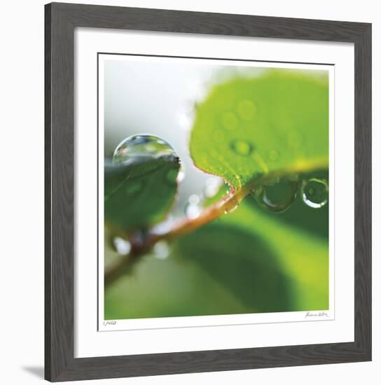 Dew Drops 1-Florence Delva-Framed Giclee Print