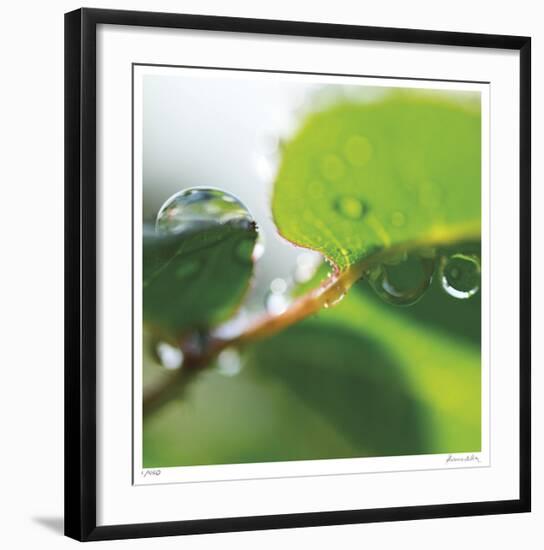 Dew Drops 1-Florence Delva-Framed Giclee Print