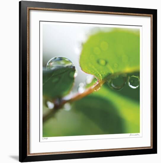 Dew Drops 1-Florence Delva-Framed Giclee Print