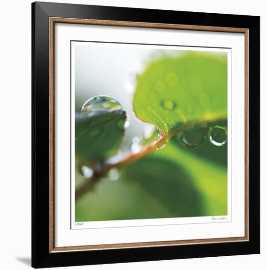 Dew Drops 1-Florence Delva-Framed Giclee Print