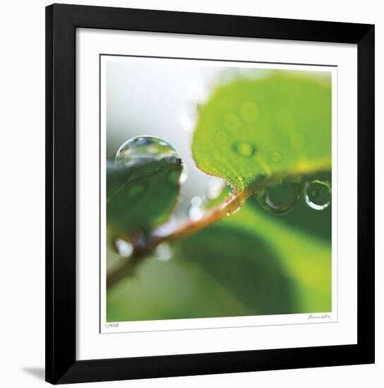 Dew Drops 1-Florence Delva-Framed Giclee Print