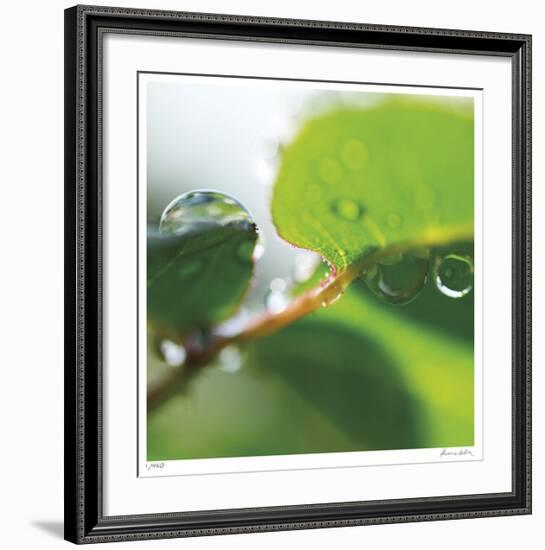 Dew Drops 1-Florence Delva-Framed Giclee Print