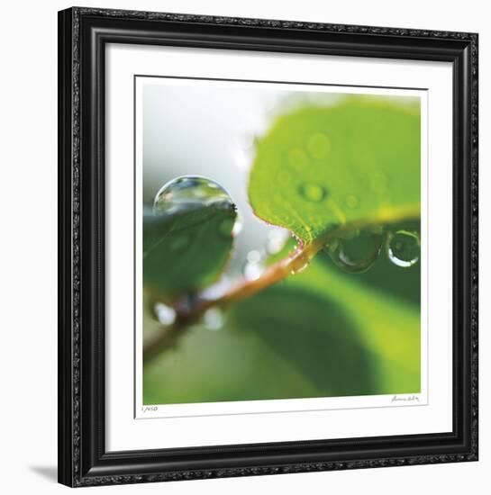 Dew Drops 1-Florence Delva-Framed Giclee Print