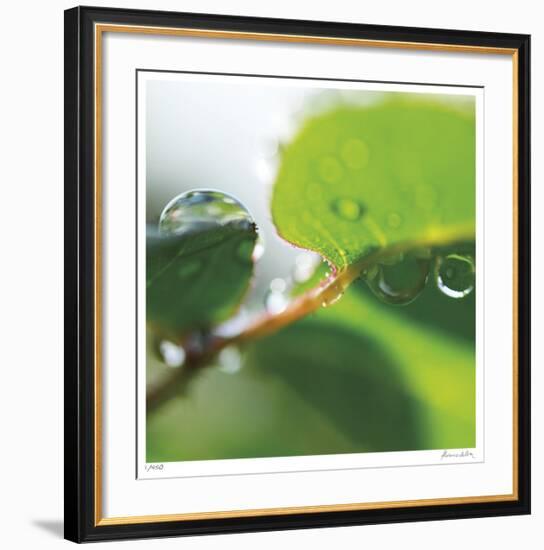 Dew Drops 1-Florence Delva-Framed Giclee Print